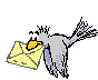 e-mail